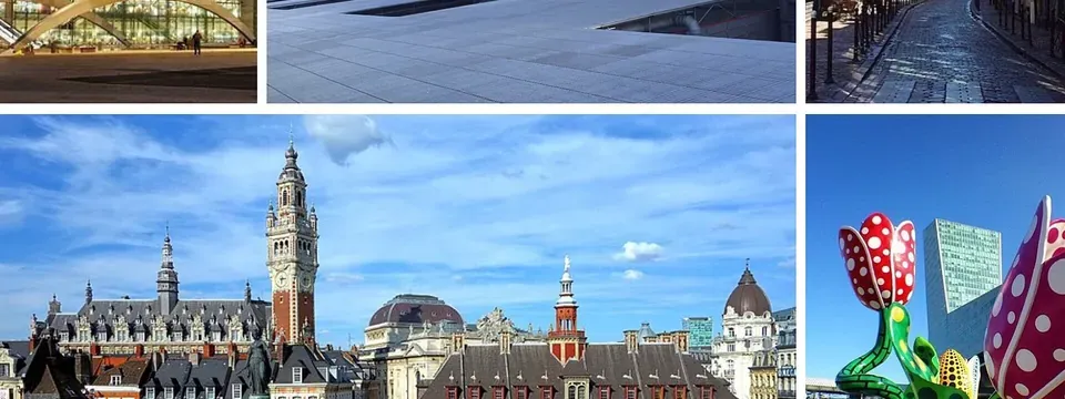 Lille, vue de la commune