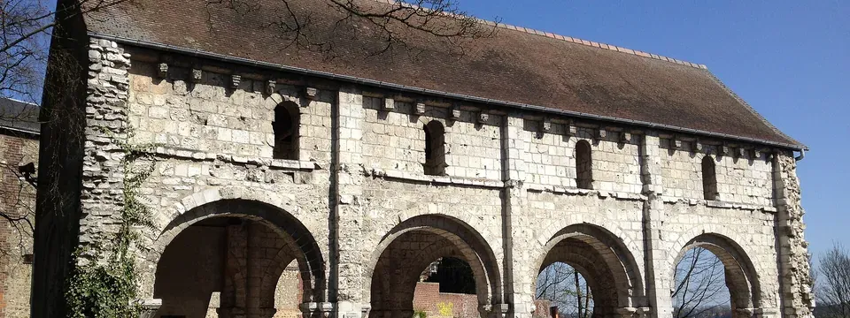 Mont-Saint-Aignan, vue de la commune
