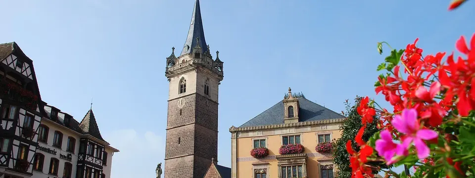 Obernai, vue de la commune
